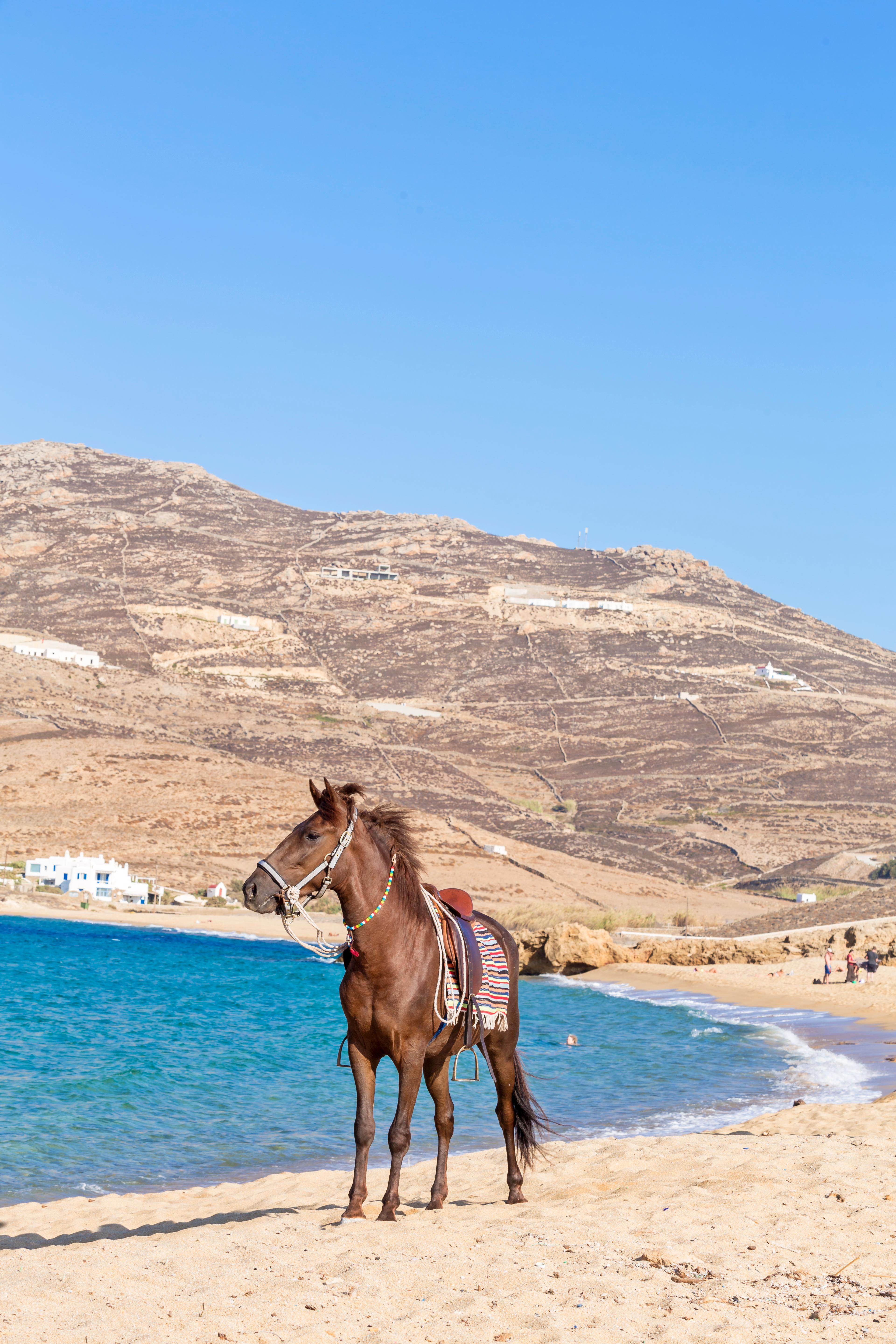 Anamar Mykonos Natural Retreat Ftelia  Exterior foto