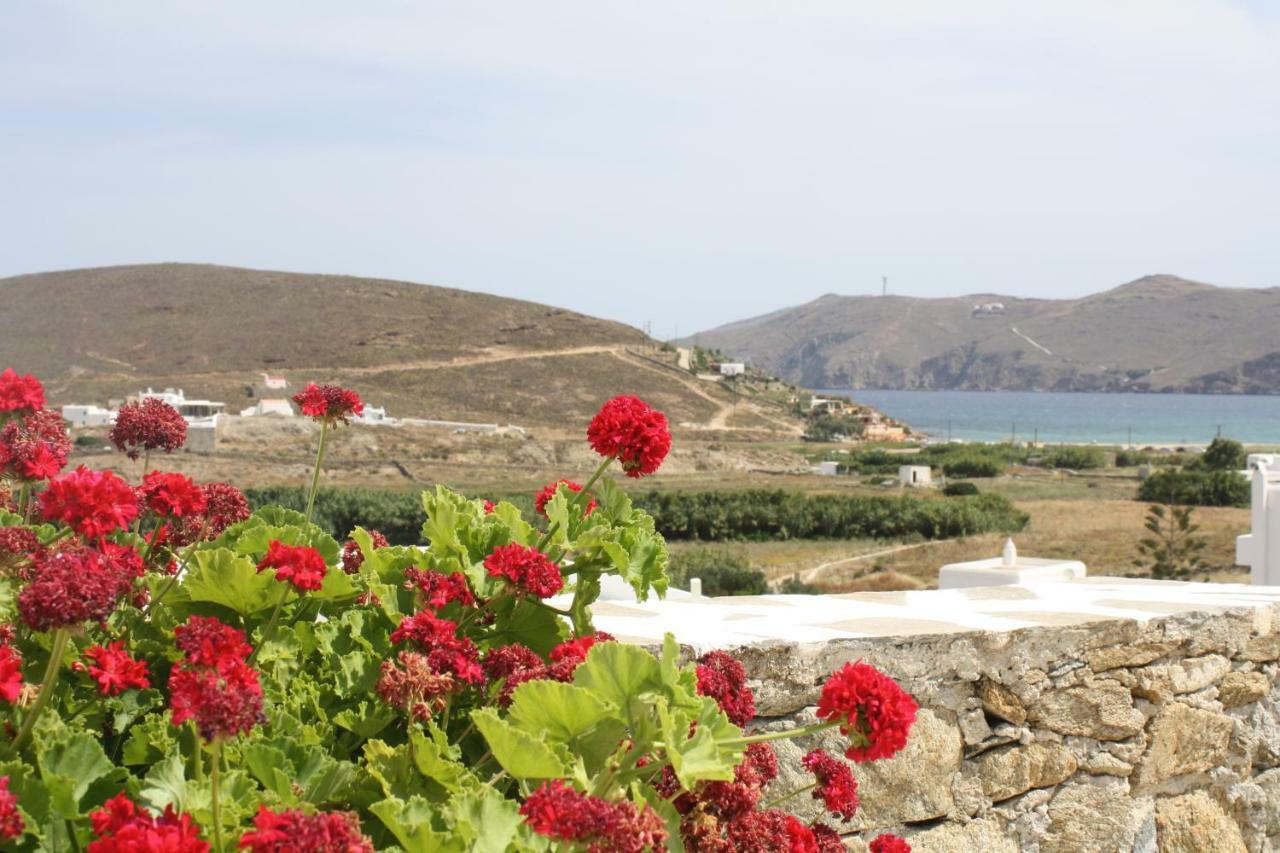 Anamar Mykonos Natural Retreat Ftelia  Exterior foto